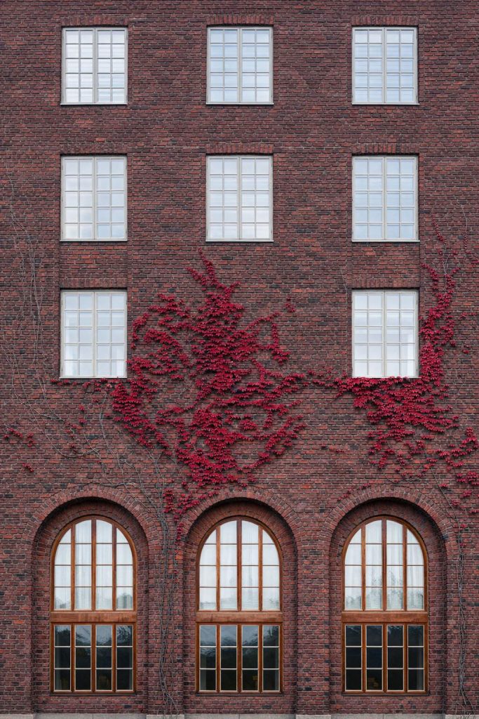 fotografie cu primaria din stockholm realizata de mirela bichigeanu