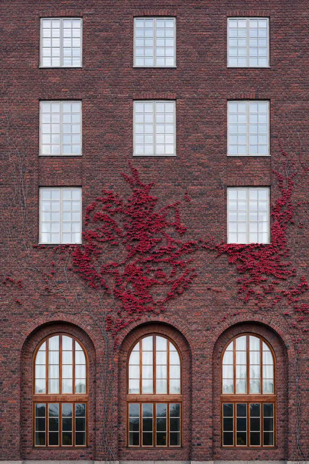 fotografie cu primaria din stockholm realizata de mirela bichigeanu