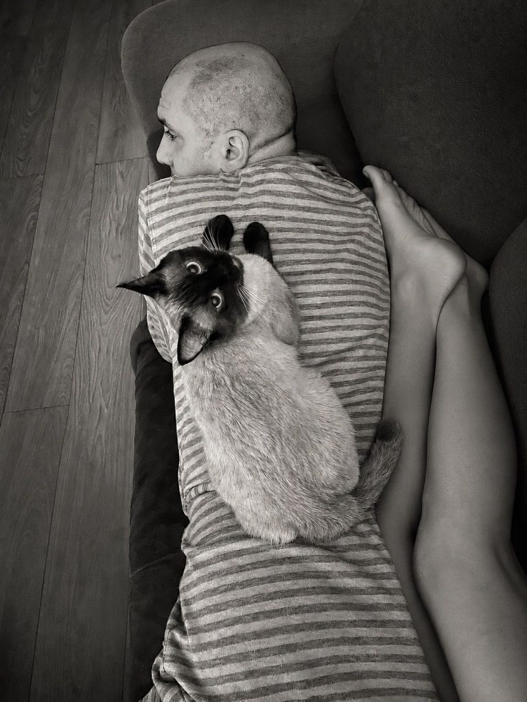 a birman cat with a man on a sofa
