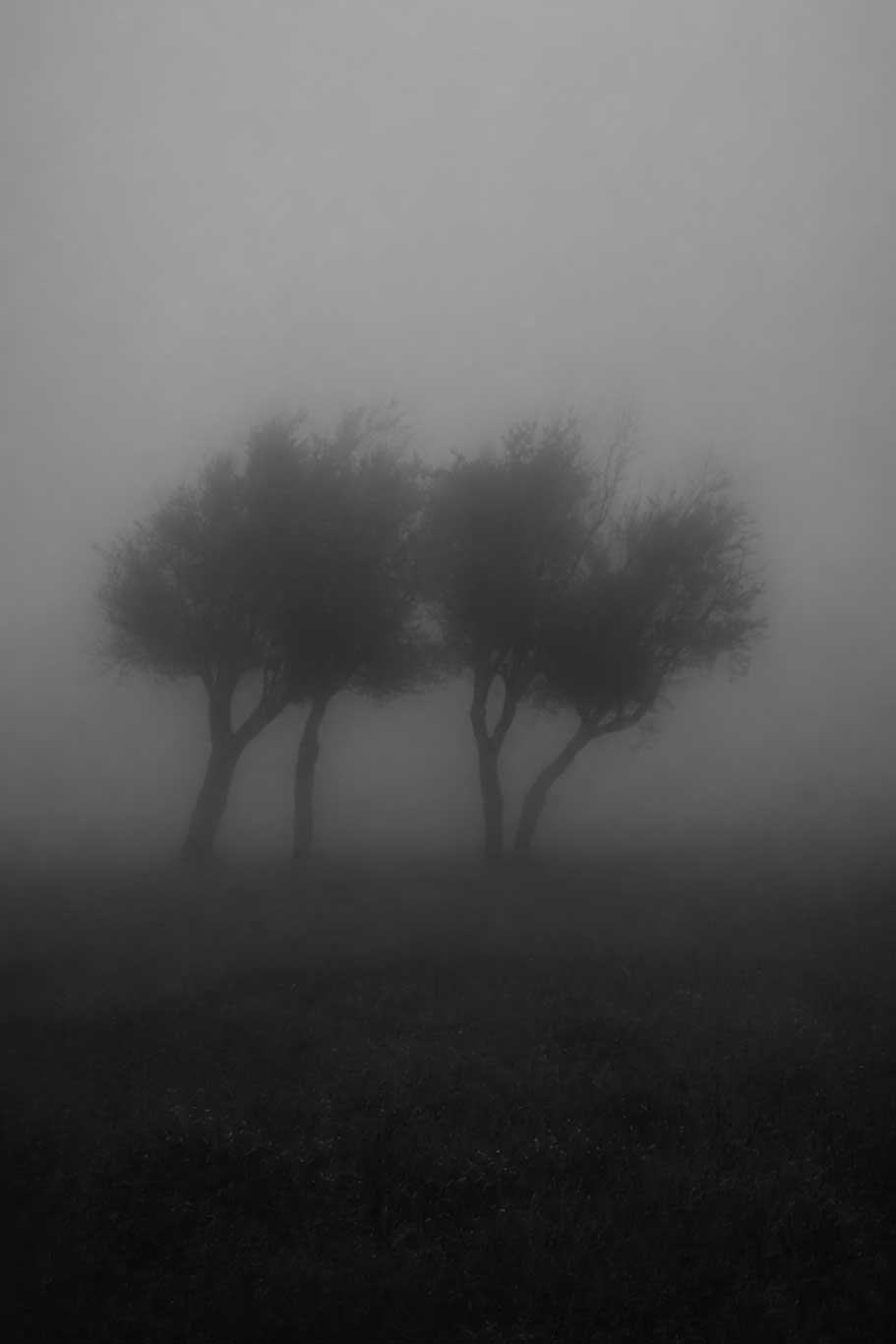 Lucrare din seria Floating World de Mirela Bichigeanu